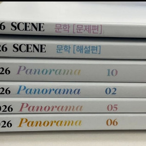 2026 시대인재 국어 이채린t 문학 주간지