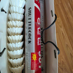 배드민턴 레슨콕 300개