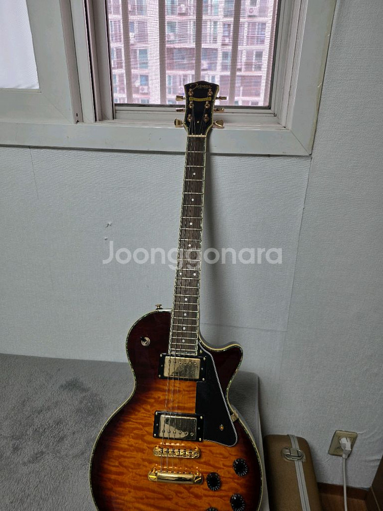 Johnson AMI 25주년 기념 기타--0