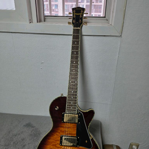 Johnson AMI 25주년 기념 기타