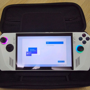 Rog ally 로갈리 (1tb)