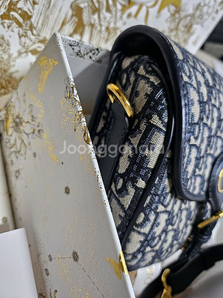 디올 바비백 미듐--1