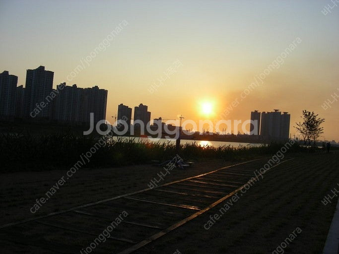 구글 컨텐츠 75프로 판매--0