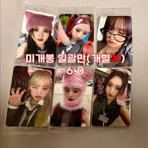 아이브 포카 배디 마인 앨범 ive 콘서트 미개봉