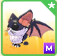 메가네온고양이박쥐 판매합니다(입양하세요)--0