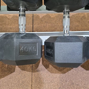 덤벨 40kg 한쌍 판매