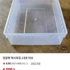 렉사육장터브 삽니다