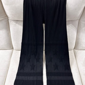 이세이미야케 플리츠플리즈 바지