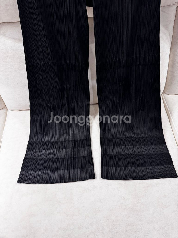 이세이미야케 플리츠플리즈 바지--1