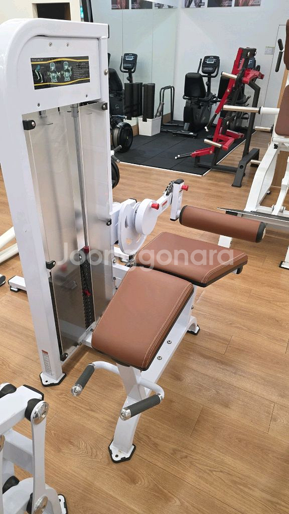 레그컬머신 판매--0