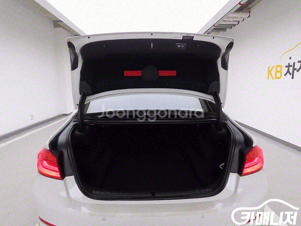 [BMW]5시리즈 (G30) 520d xDrive 럭셔--4