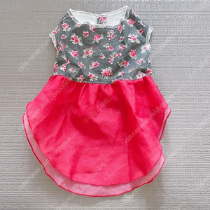 강아지한복 XL사이즈