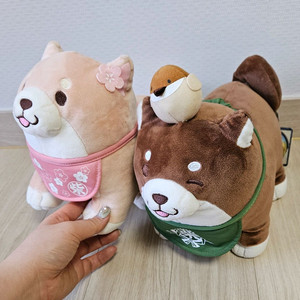시바견 시바이누 인형2개 강아지