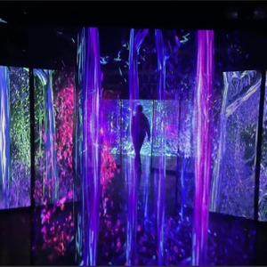 팀랩 포레스트 후쿠오카-10/22 입장권 (성인 2매)