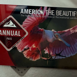 미국 애뉴얼 패스 판매