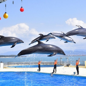 마린월드 우미노나카미치 수족관 입장권 (성인 2매)