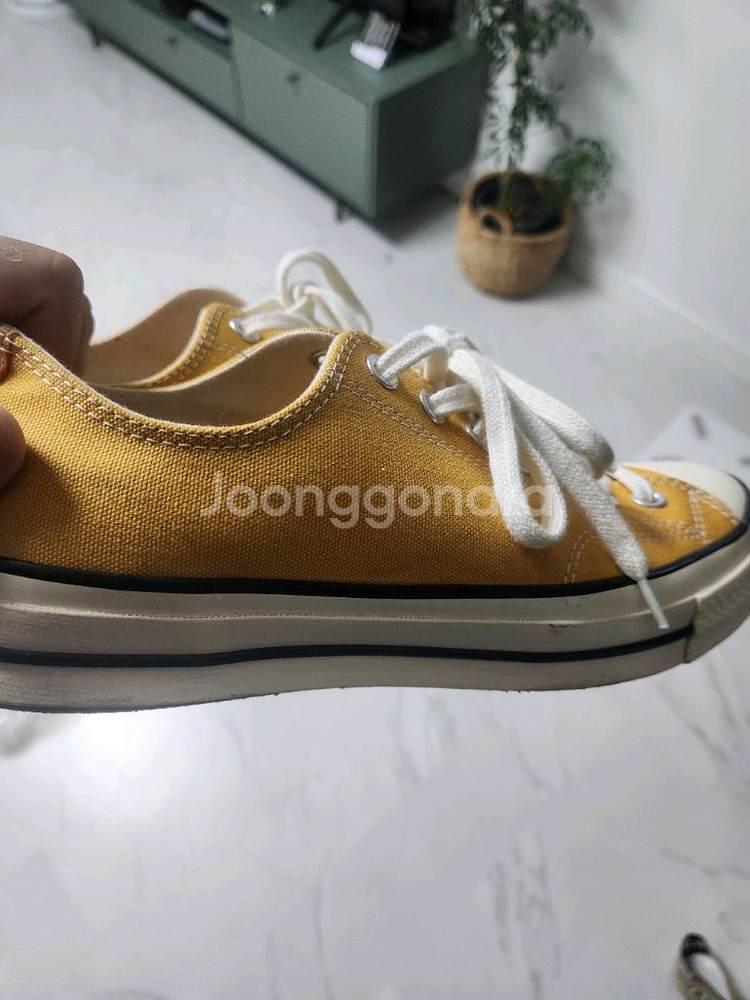 컨버스 척테일러 썬플라워 270--0