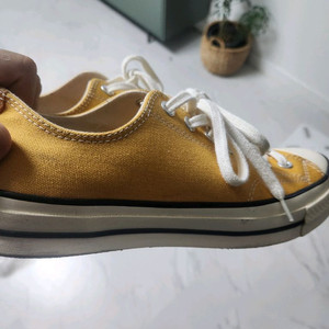 컨버스 척테일러 썬플라워 270