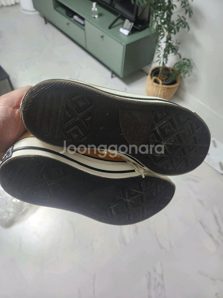 컨버스 척테일러 썬플라워 270--2