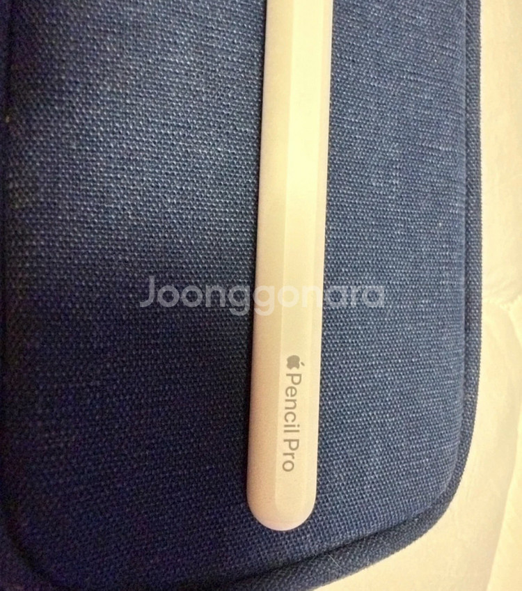 아이패드 프로 13 M4 256GB 셀룰러--8