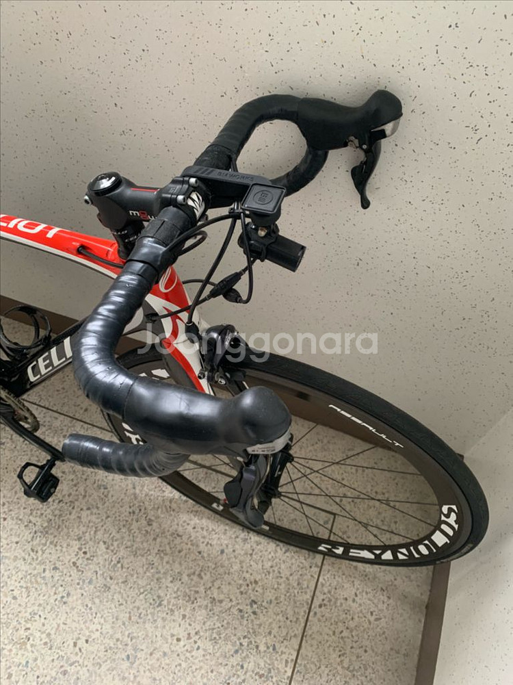 첼로 엘리엇 105--1