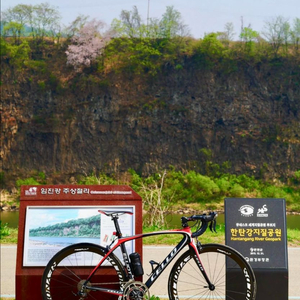 첼로 엘리엇 105