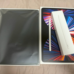 아이패드 프로 m1 12.9 스그 128G