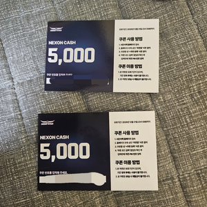 넥슨캐시 5000원권 2매