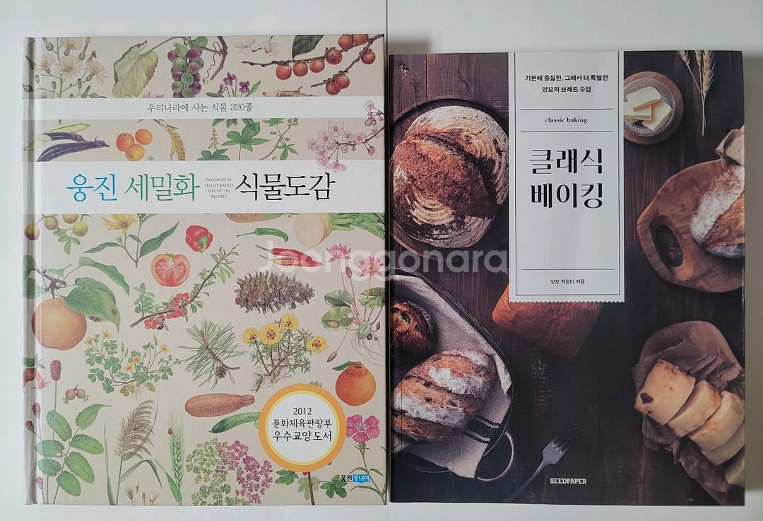 웅진 세밀화 식물도감. 아주 쉬운 코딩 놀이--0