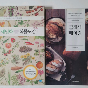 웅진 세밀화 식물도감. 아주 쉬운 코딩 놀이