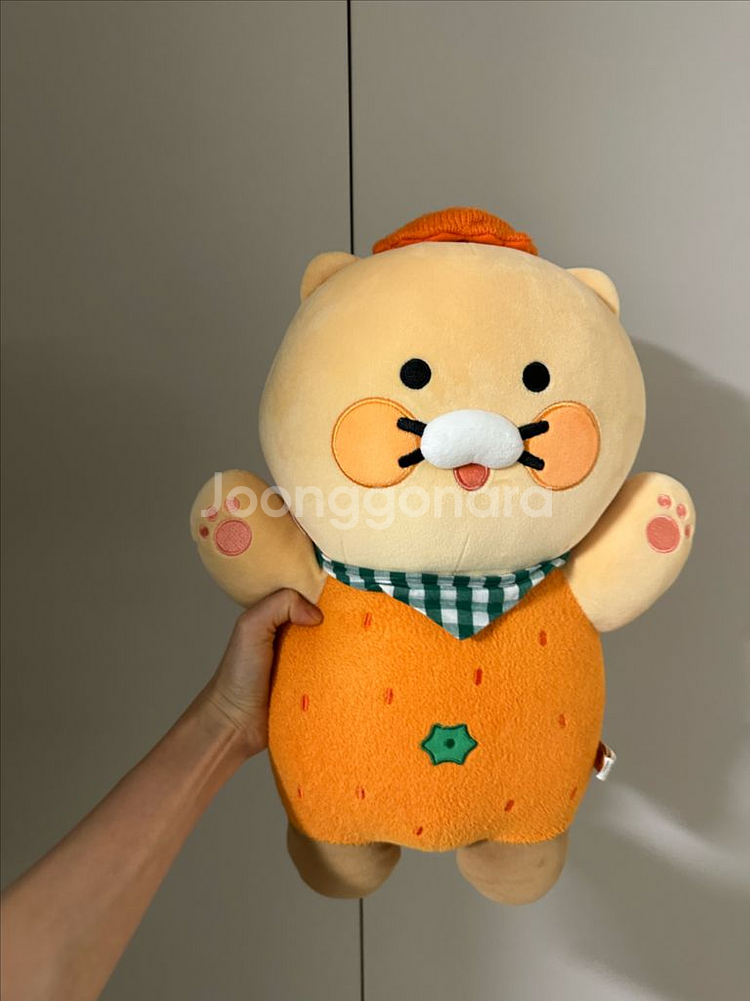 제주에디션 감귤 춘식이 / 카카오프렌즈 제주도 인형--0