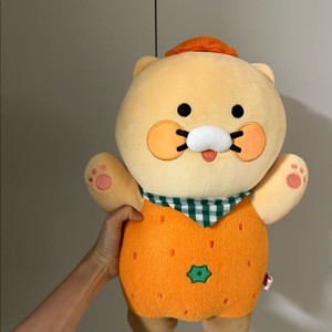 제주에디션 감귤 춘식이 / 카카오프렌즈 제주도 인형