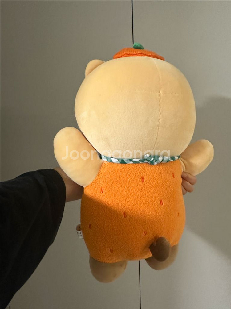 제주에디션 감귤 춘식이 / 카카오프렌즈 제주도 인형--1