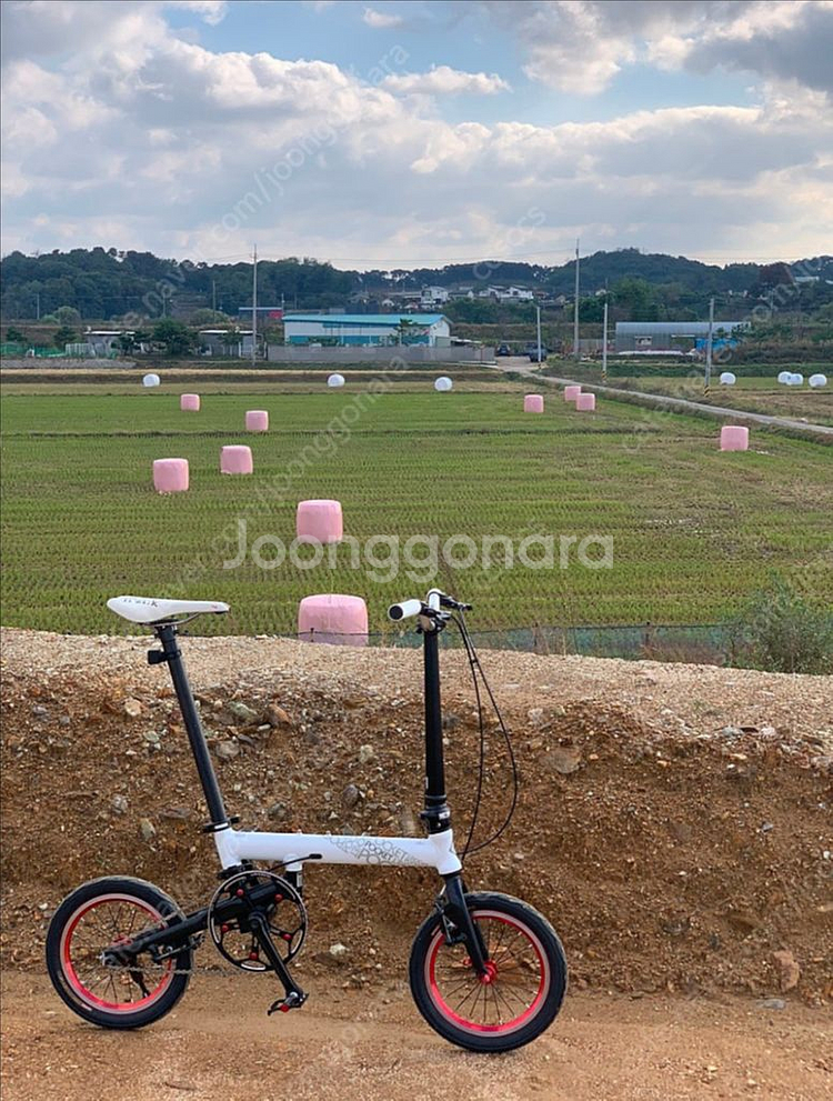 포켓 14 미니벨로--6