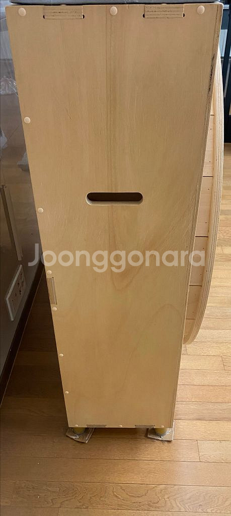 마데이라쌀롱 무소음 대형 캣휠 30만원 캣휠--4