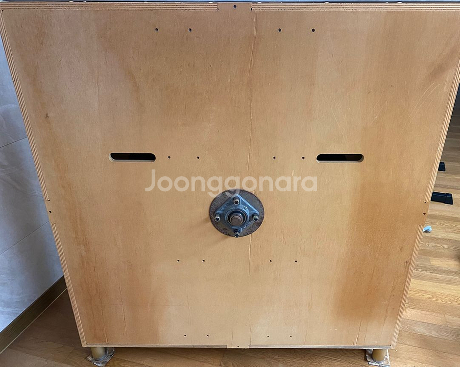 마데이라쌀롱 무소음 대형 캣휠 30만원 캣휠--5