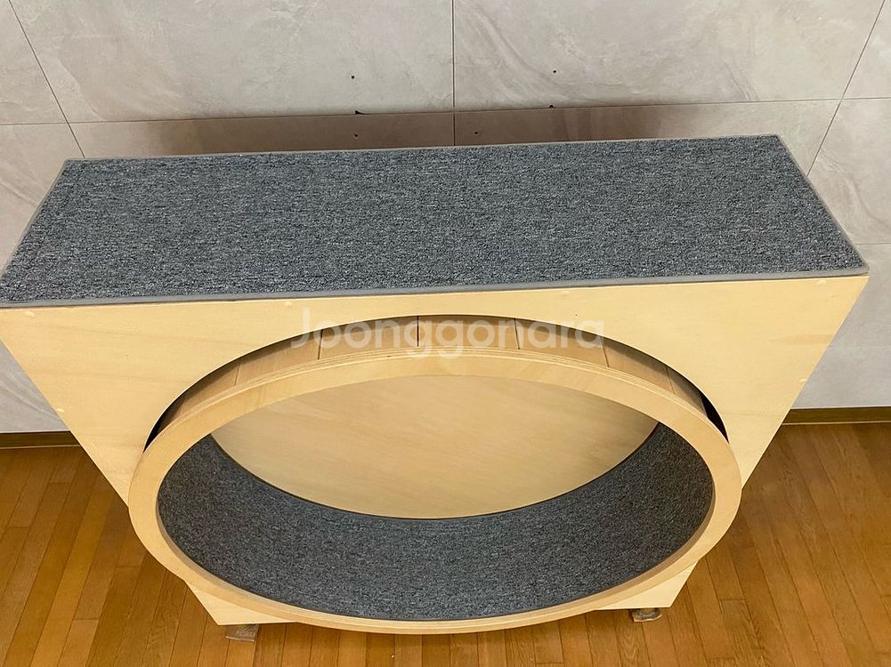 마데이라쌀롱 무소음 대형 캣휠 30만원 캣휠--2