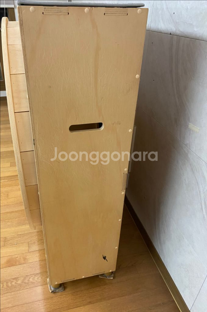 마데이라쌀롱 무소음 대형 캣휠 30만원 캣휠--3