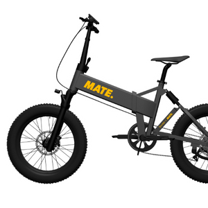 전기자전거 팝니다