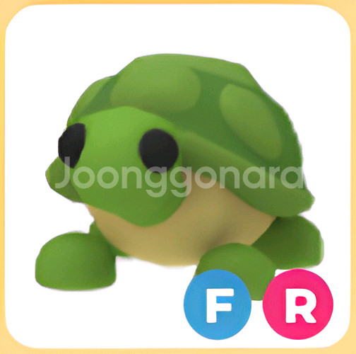 입양하세요 거북--0