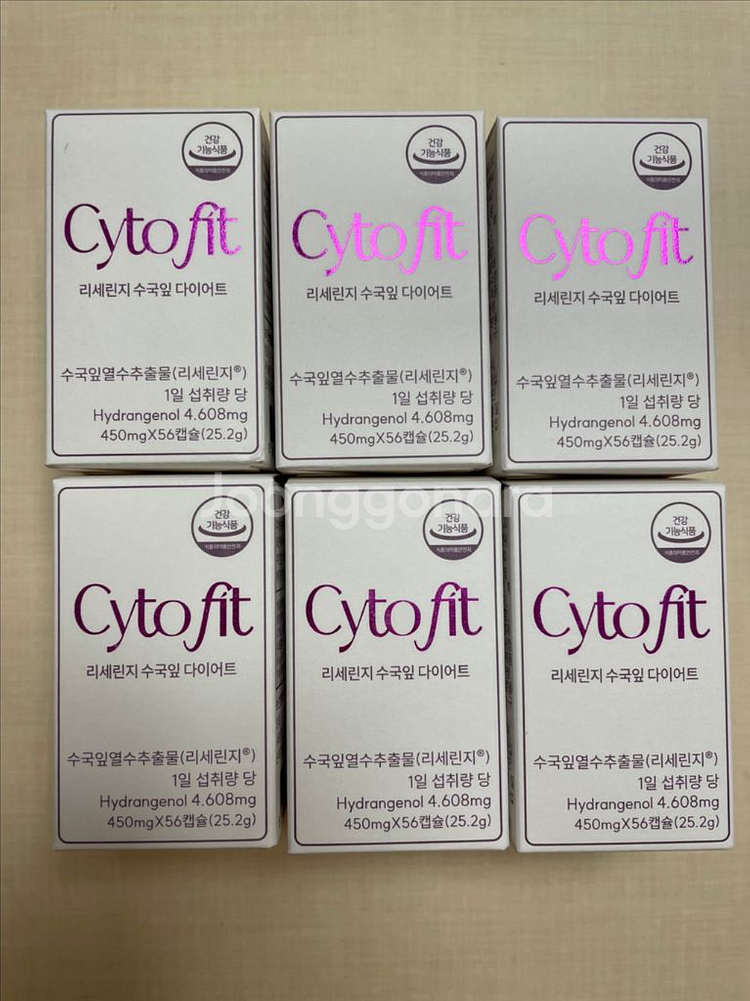 싸이토핏 리세린지 수국잎 새상품--0