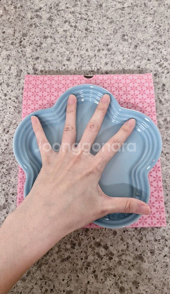 르크루제 플라워 접시 19cm. 세제품--2