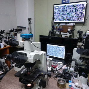 니콘 위상차현미경 싸게판매합니다 이미지