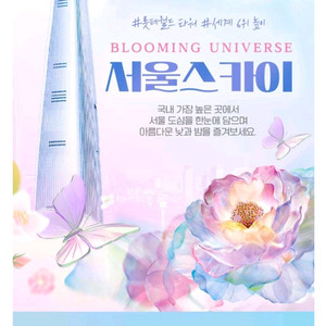 롯데타워 전망대 서울스카이 18000