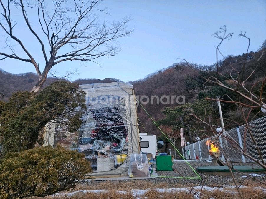 차박텐트 도킹 자립 2024년식 차차차 텐트--4