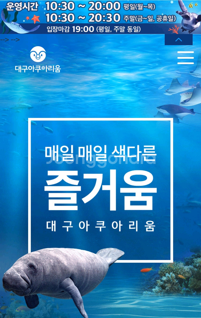 대구아쿠아리움 18500--0