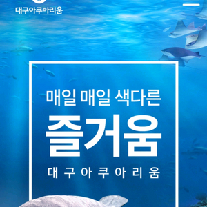대구아쿠아리움 18500
