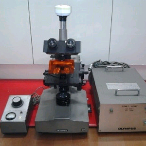 올림프스 형광현미경 싸게판매합니다 이미지