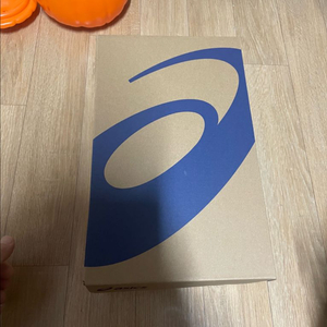 아식스 메타스피드 엣지 도쿄 260