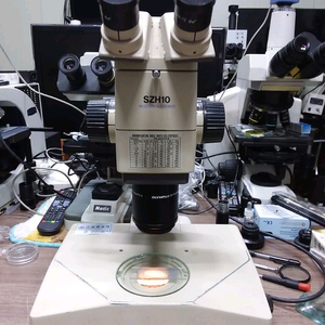 OLYMPUS SZH-10 연구용 실체현미경 싸게판매